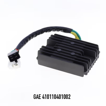 GAE 410110401002