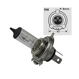 H4126055: H4 12V 60/55W Halogen Lamp / Halogen Lightbulb