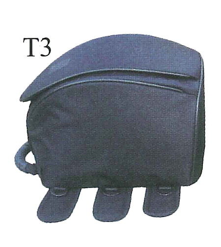 t3