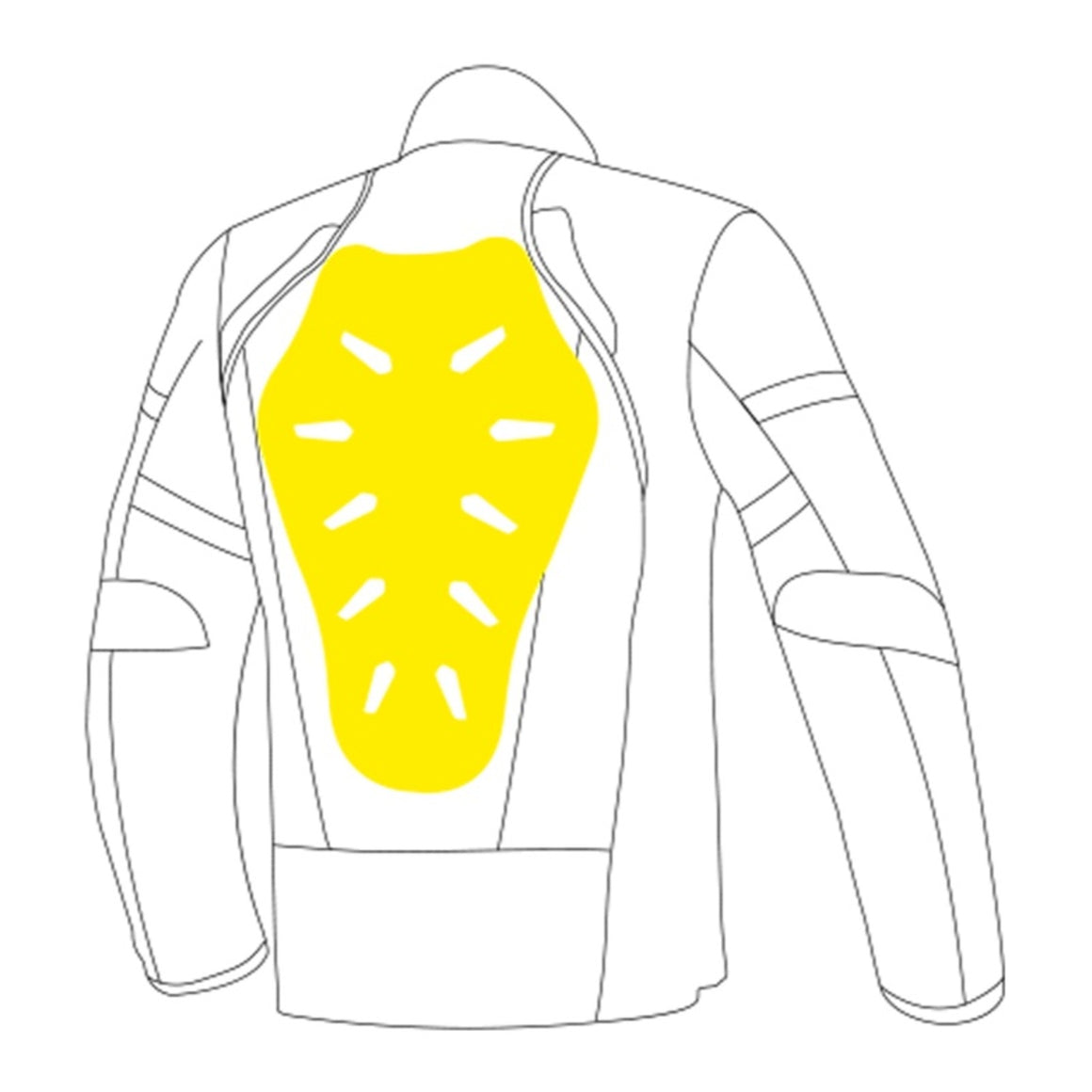 LS2 Back Protector