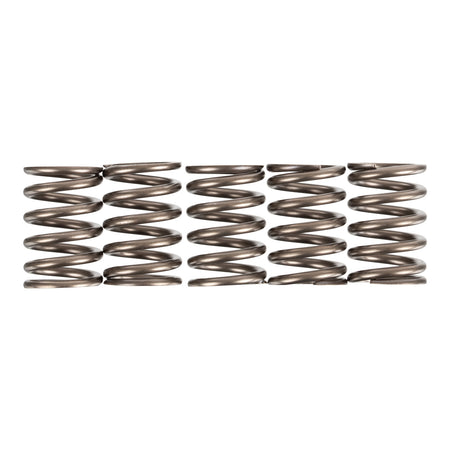 Premier Clutch Springs - Heavy Duty