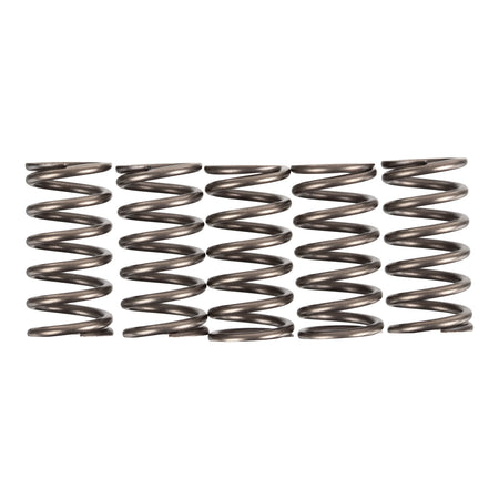 Premier Clutch Springs - Heavy Duty