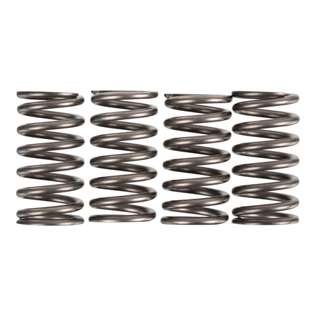 Premier Clutch Springs - Heavy Duty