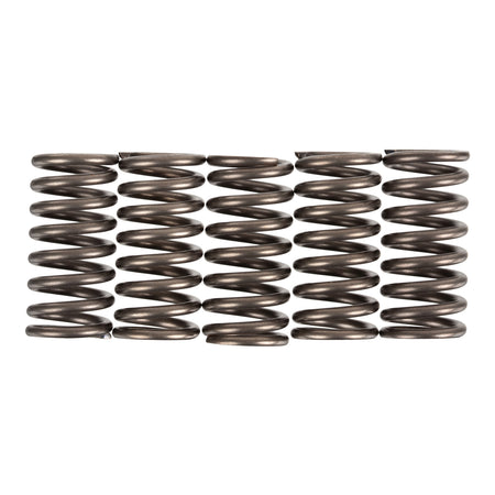 Premier Clutch Springs - Heavy Duty