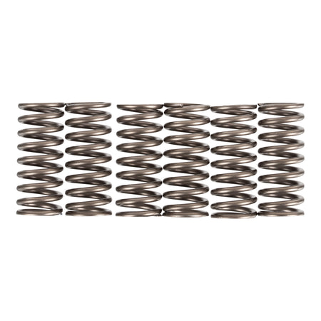 Premier Clutch Springs - Heavy Duty