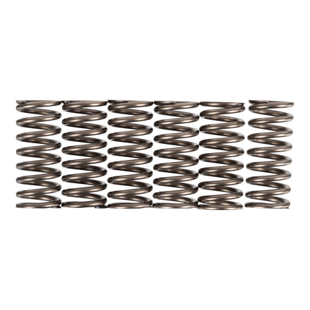 Premier Clutch Springs - Heavy Duty