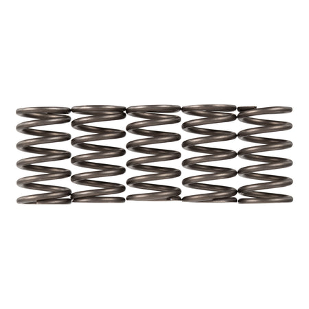 Premier Clutch Springs - Heavy Duty