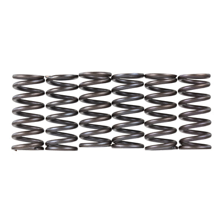 Premier Clutch Springs - Heavy Duty