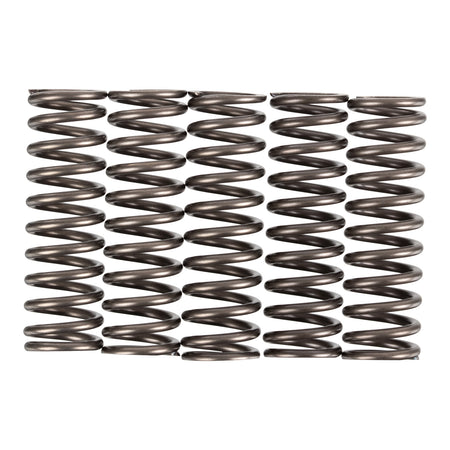 Premier Clutch Springs - Heavy Duty