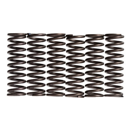 Premier Clutch Springs - Heavy Duty