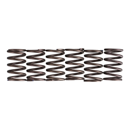 Premier Clutch Springs - Heavy Duty