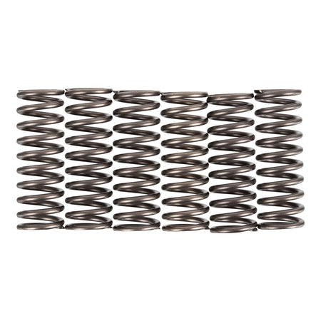 Premier Clutch Springs - Heavy Duty