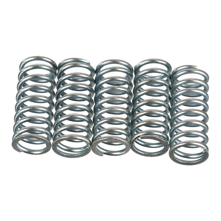 Premier Clutch Springs - Heavy Duty