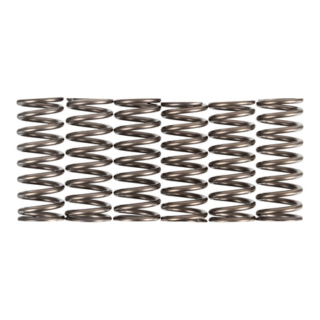 Premier Clutch Springs - Heavy Duty