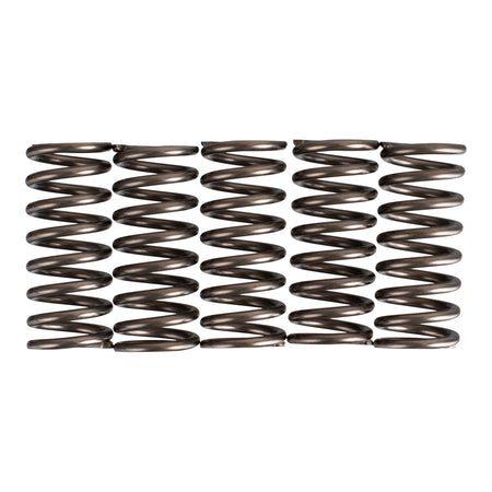 Premier Clutch Springs - Heavy Duty