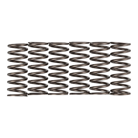 Premier Clutch Springs - Heavy Duty