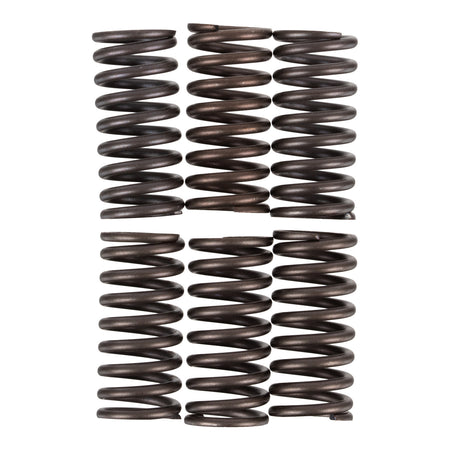Premier Clutch Springs - Heavy Duty
