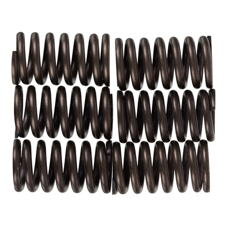 Premier Clutch Springs - Heavy Duty