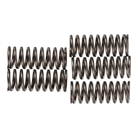 Premier Clutch Springs - Heavy Duty