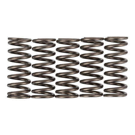 Premier Clutch Springs - Heavy Duty