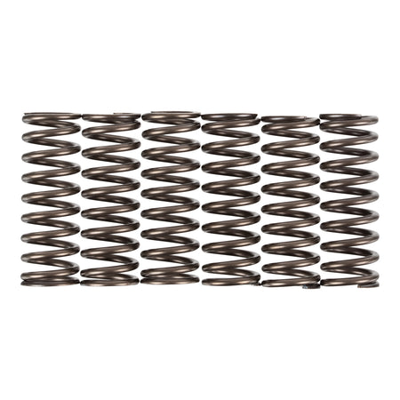 Premier Clutch Springs - Heavy Duty