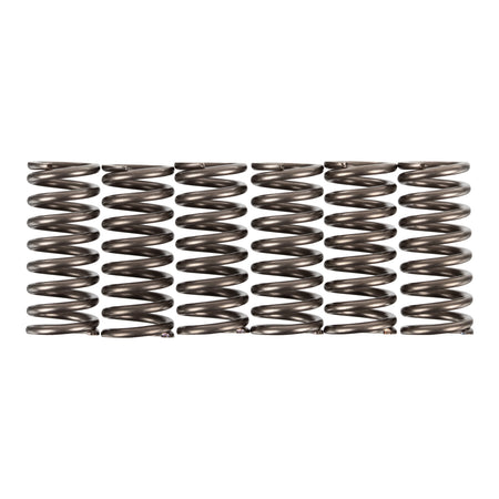 Premier Clutch Springs - Heavy Duty