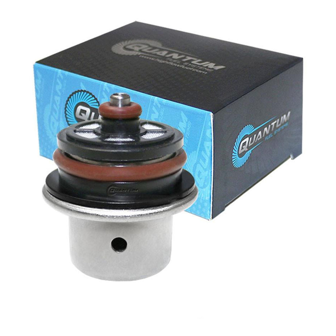 Quantum In-tank EFI Fuel Pump with Regulator, Tank Seal