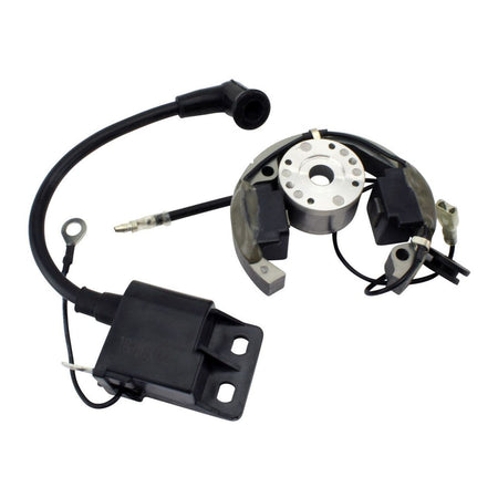 Stator + Rotor + Ignition Coil Kit (RMS900-107608)