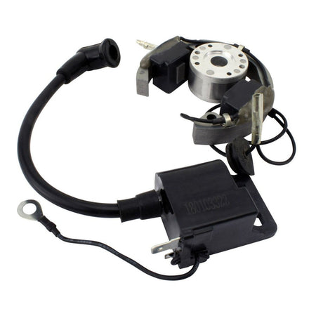 Stator + Rotor + Ignition Coil Kit (RMS900-107608)