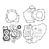 Complete Gasket Set with Oil Seals 8110032