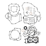 Complete Gasket Set with Oil Seals 8110032