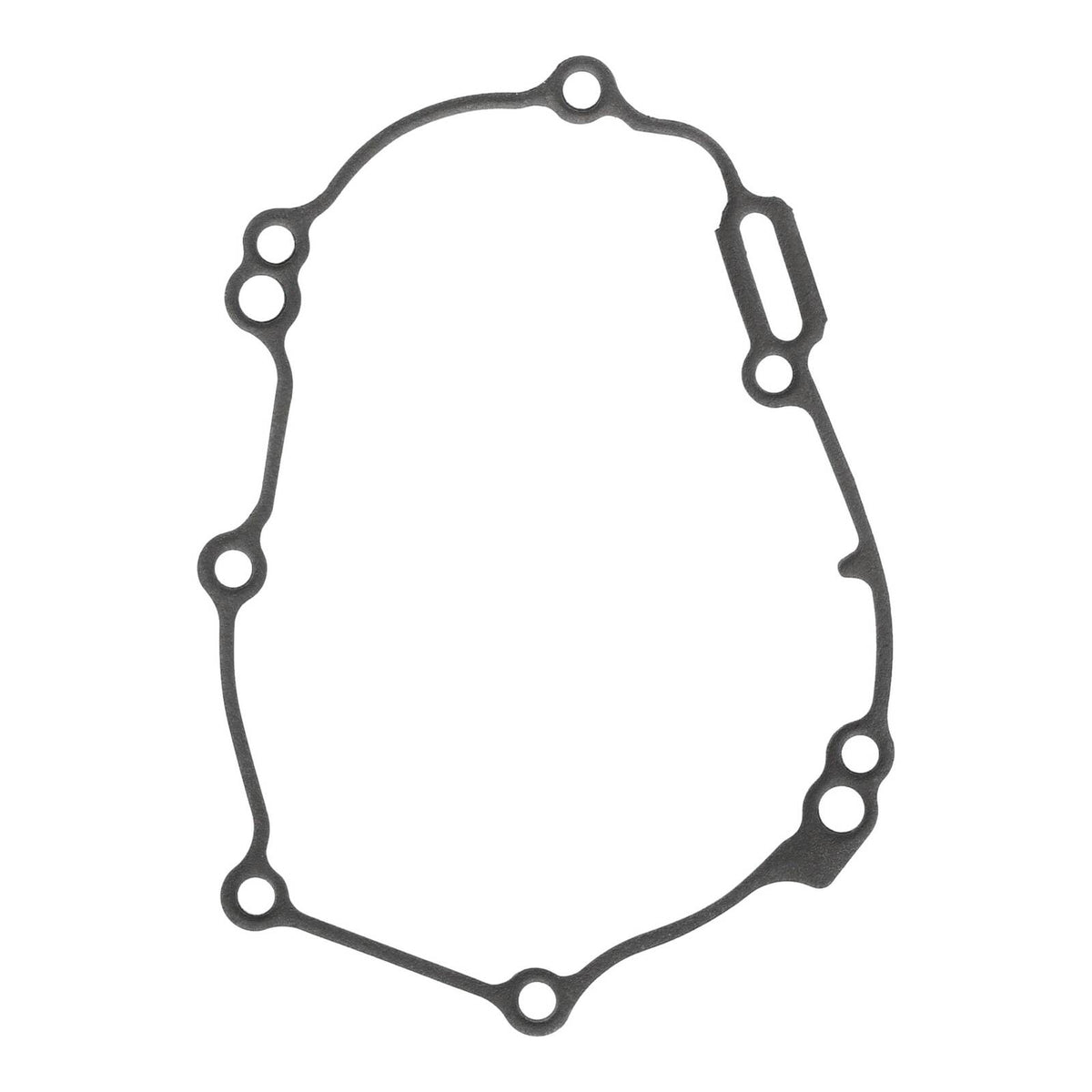 Ignition Cover Gasket Kit 816347