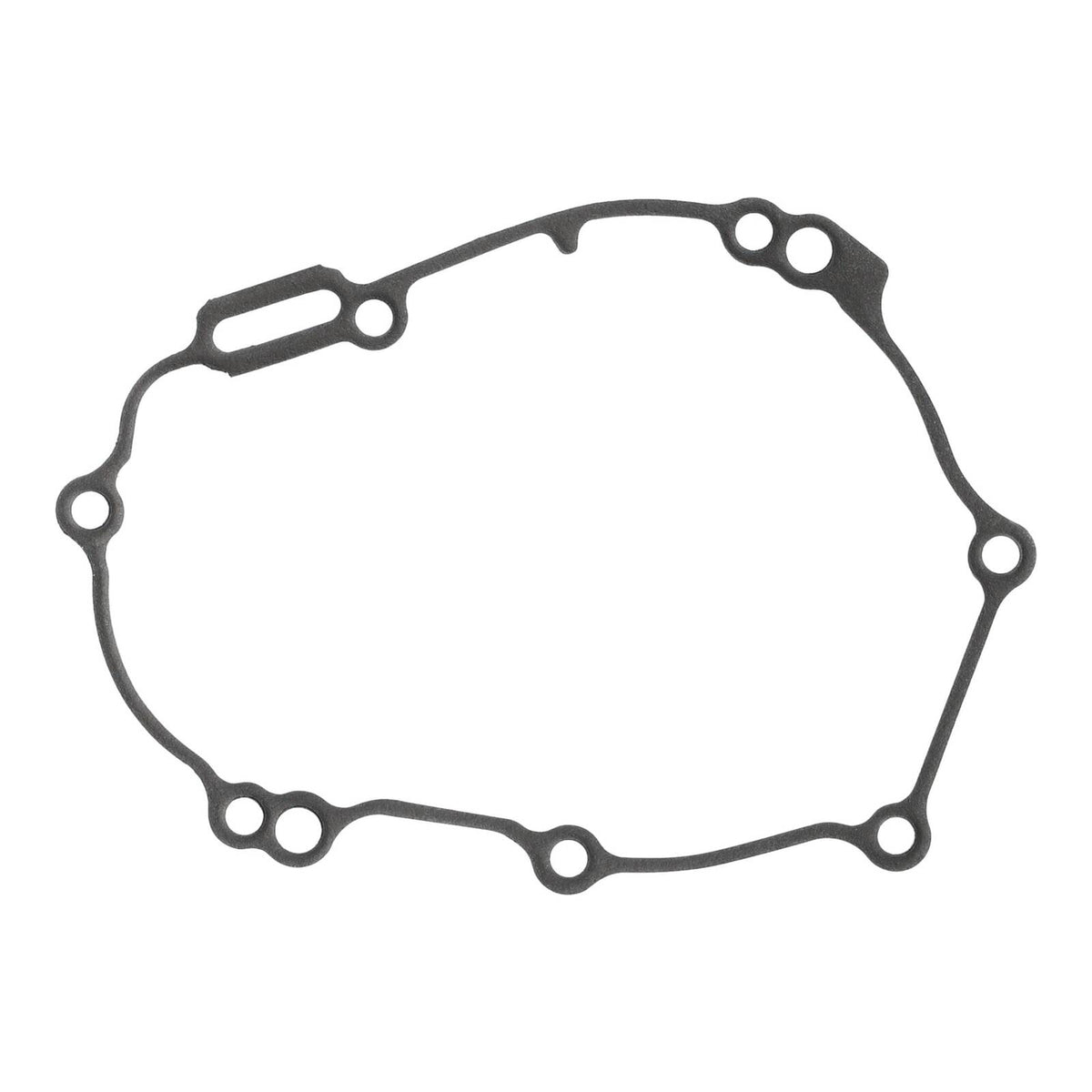 Ignition Cover Gasket Kit 816347