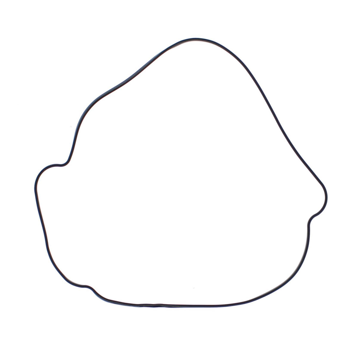 Outer Clutch Gasket Kit 817987