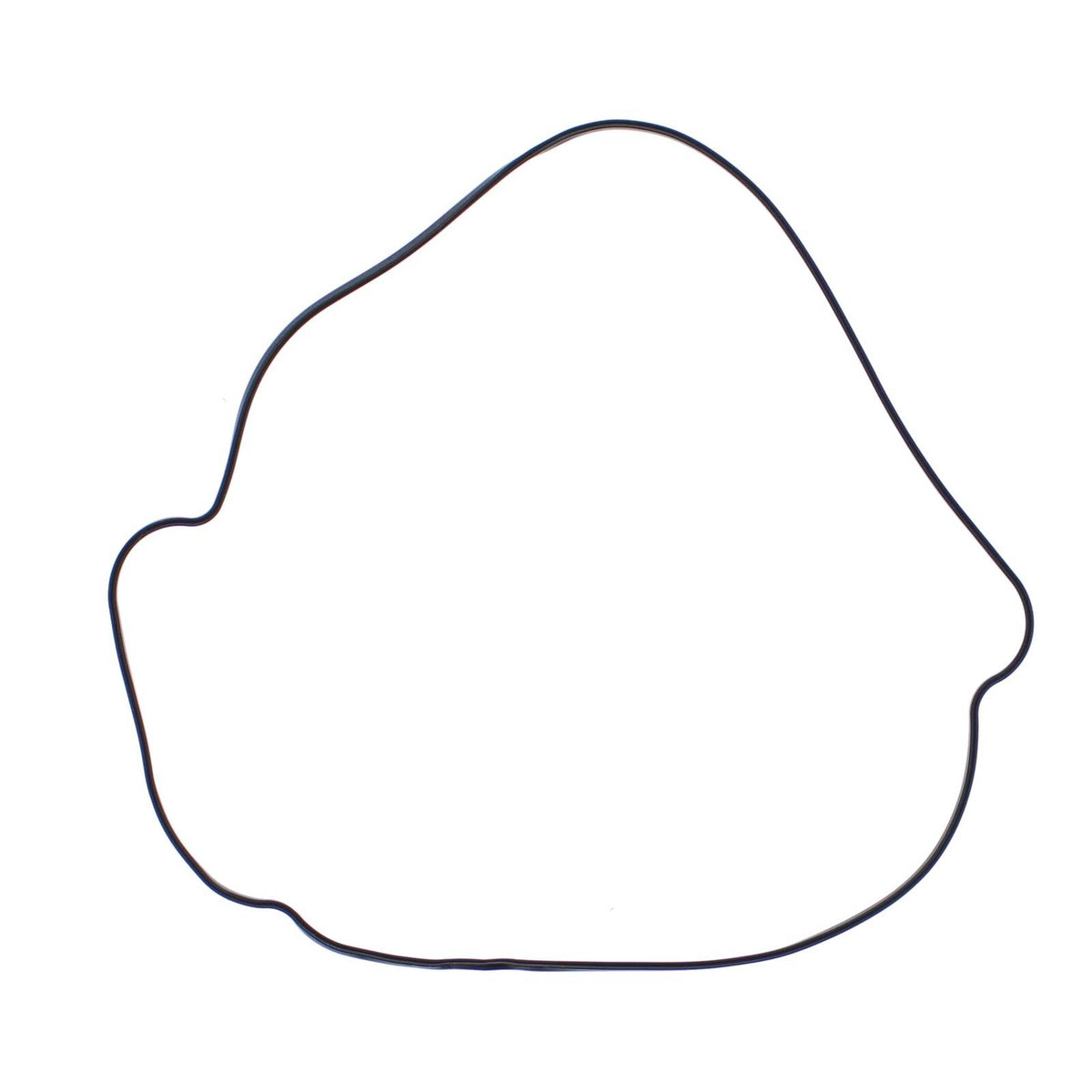Outer Clutch Gasket Kit 817987