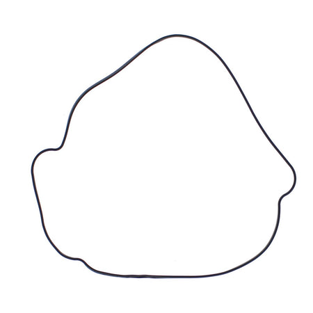 Outer Clutch Gasket Kit 817987