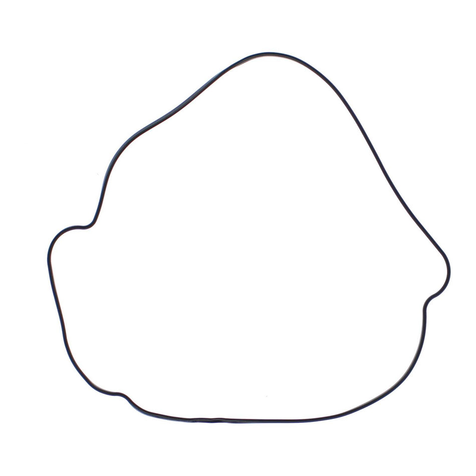 Outer Clutch Gasket Kit 817987