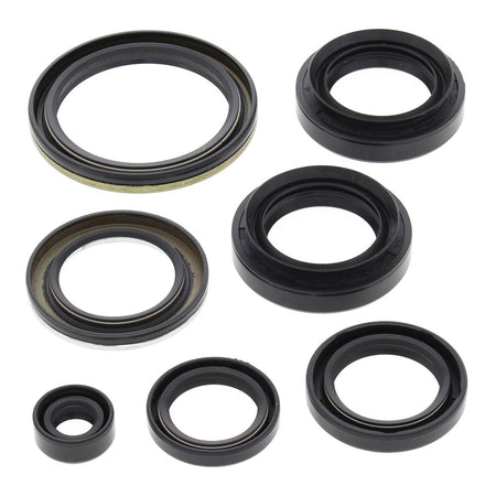 Oil Seal Kit 822239