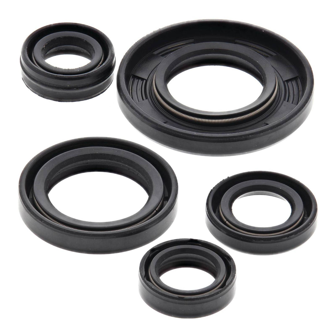 Oil Seal Kit 822240