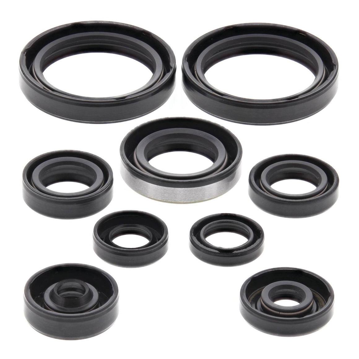 Oil Seal Kit 822316