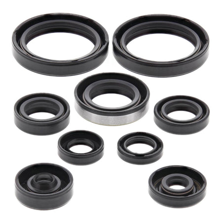 Oil Seal Kit 822316