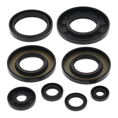 Oil Seal Kit 822349