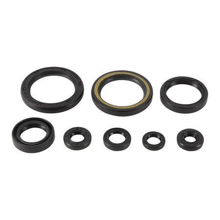 Oil Seal Kit 822378