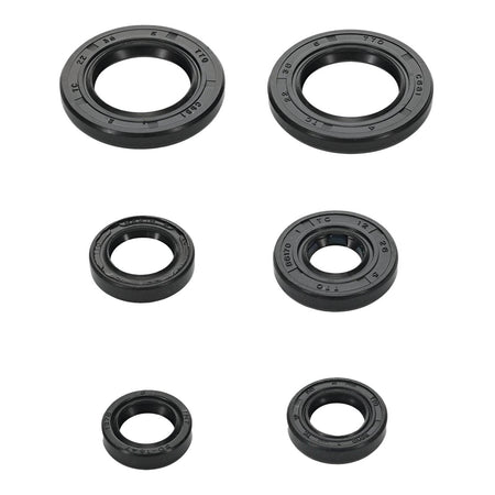 Oil Seal Kit 822391