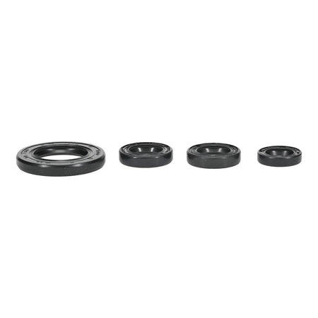 Oil Seal Kit 822395