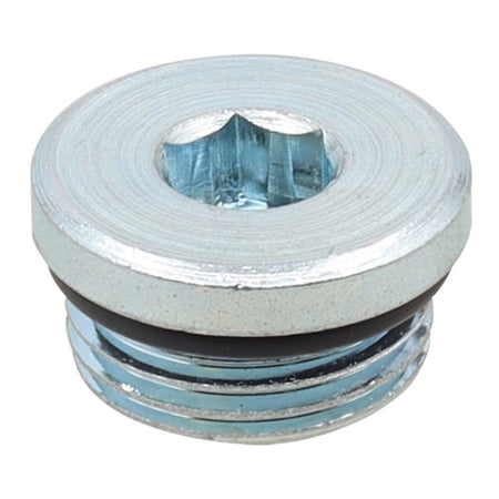 Whites Magnetic Drain Plug 3/4UNC x 5/16