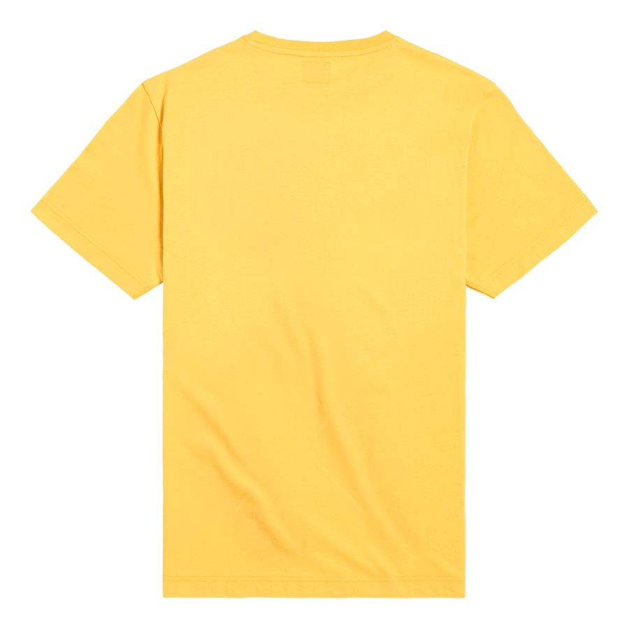 mtss2306_2