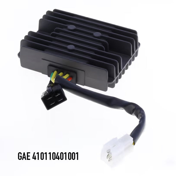 GAE 410110401001