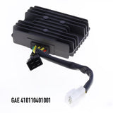 GAE 410110401001