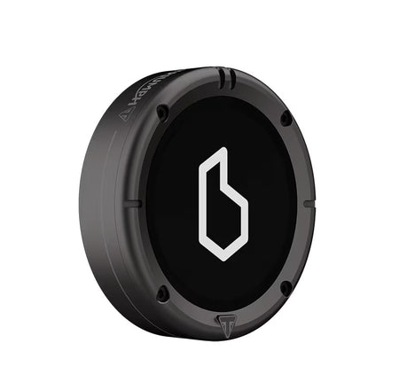 Beeline_1